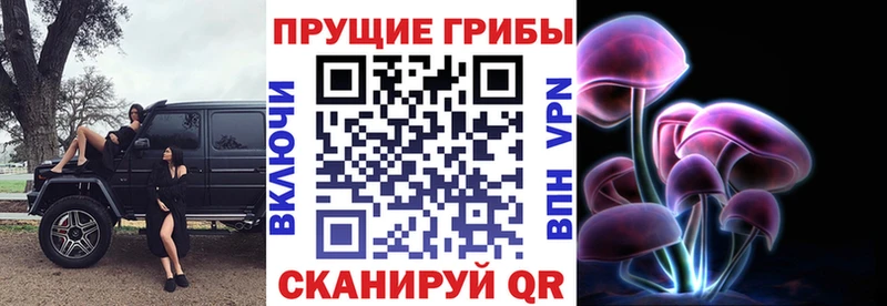 Галлюциногенные грибы мухоморы  Санкт-Петербург 